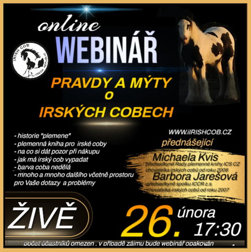 WEBINÁŘ 26.2.2025